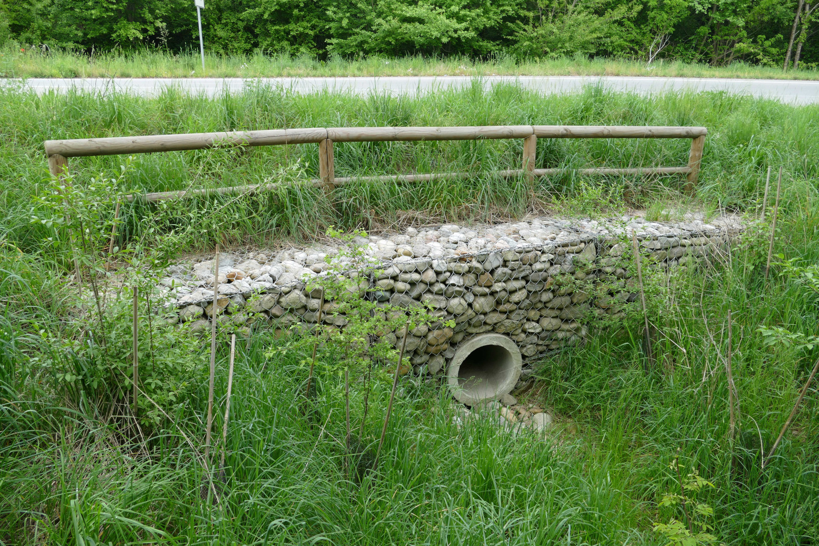 Corridoi faunistici ed ecodotti al Parco delle Groane